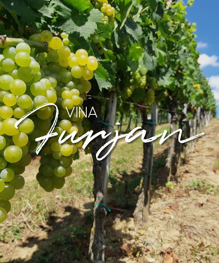 Vina Furjan